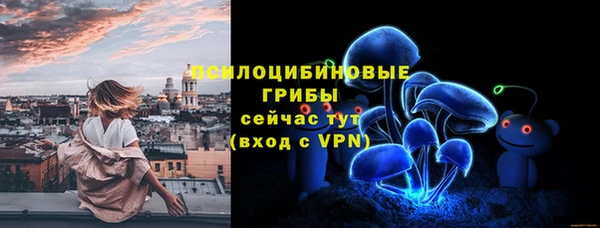 прущие грибы Волосово